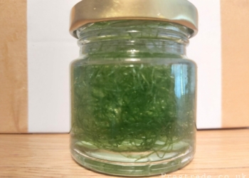 Cheato Algae 50ml (UK Grown)