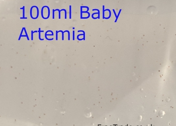 100ml Live Baby Brine Shrimp