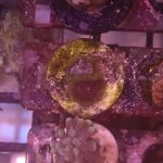 WYSIWYG 1.0″ Green Favia Frag (UK Grown)